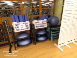 Emerald Princess Fitness Center picture