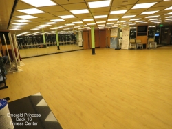 Emerald Princess Fitness Center picture