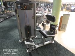 Emerald Princess Fitness Center picture