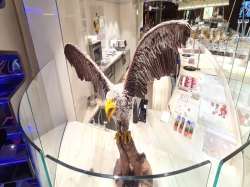 Jean-Philippe Chocolate & Cafe picture