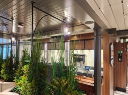 MSC Seascape Market Place Buffet picture