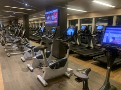 Sky Princess Fitness Center picture