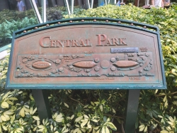 Central Park picture