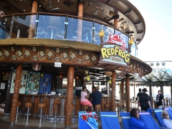 Red Frog Tiki Bar picture Red Frog Tiki Bar picture