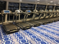 Spa and Fitness Center picture