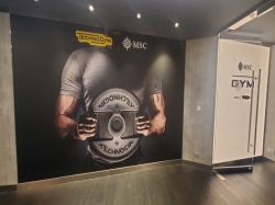 MSC Seascape MSC Gym picture