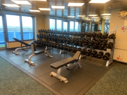 Emerald Princess Fitness Center picture