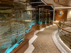 Island Princess Princess Plaza picture