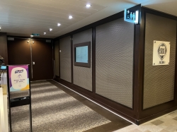 Quantum of the Seas Silk picture