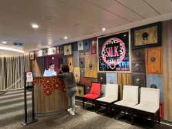 Quantum of the Seas Silk picture