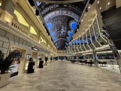 MSC Euribia Galleria Euribia picture