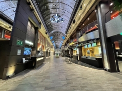 MSC Euribia Galleria Euribia picture