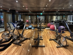 Carnival Magic Fitness Center picture