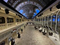 MSC Euribia Galleria Euribia picture