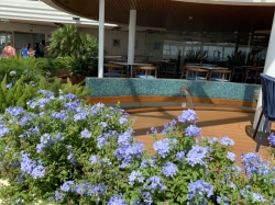 Allure of the Seas Solarium picture