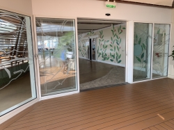 Allure of the Seas Solarium picture