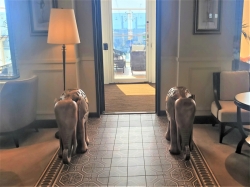 MSC World Europa Raj Polo Tea House picture