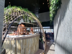 MSC World Europa Botanic Garden Pool picture Uploaded in 2023 Photo courtesy of Anne Bratton. MSC World Europa Botanic Garden Pool picture