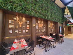 MSC World Europa Butchers Cut picture