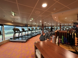Jewel of the Seas Fitness Center picture