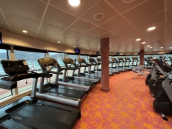 Jewel of the Seas Fitness Center picture
