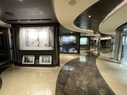 Art Gallery picture Art Gallery picture