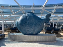 MSC Yacht Club Sundeck picture MSC Yacht Club Sundeck picture