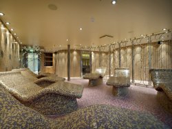 Tepidarium picture