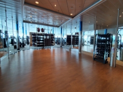 Freedom of the Seas Fitness Center picture