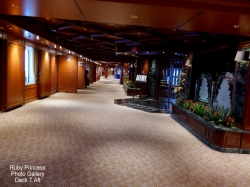 Photo Gallery picture Photo Gallery picture