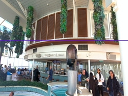 Anthem of the Seas Solarium picture