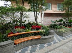 Allure of the Seas Central Park picture