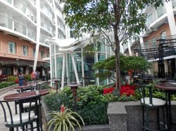 Allure of the Seas Central Park picture