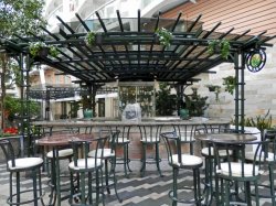 Allure of the Seas Central Park picture