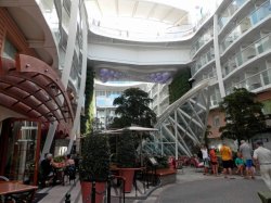 Allure of the Seas Central Park picture
