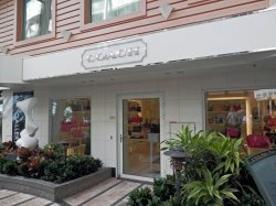 Allure of the Seas Central Park picture