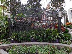 Allure of the Seas Central Park picture