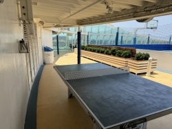 Mariner of the Seas Sports Court picture