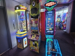 MSC Fantasia Virtual World picture