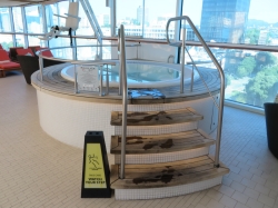 Celebrity Eclipse Solarium picture