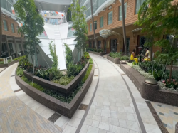 Utopia of the Seas Central Park picture