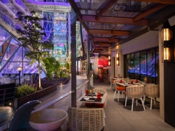 Utopia of the Seas Izumi picture