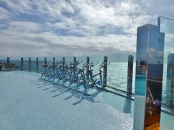 MSC Divina The Garden Pool picture