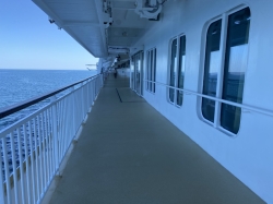 Norwegian Jade Promenade picture