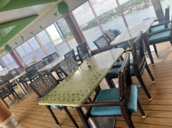 Landshark Pool and Bar picture