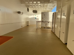 Norwegian Jewel Promenade picture