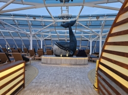 MSC Yacht Club Sundeck picture