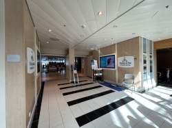 Freedom of the Seas Fitness Center picture