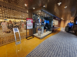 Noordam Shopping Arcade picture