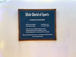 Disney Magic Wide World of Sports picture